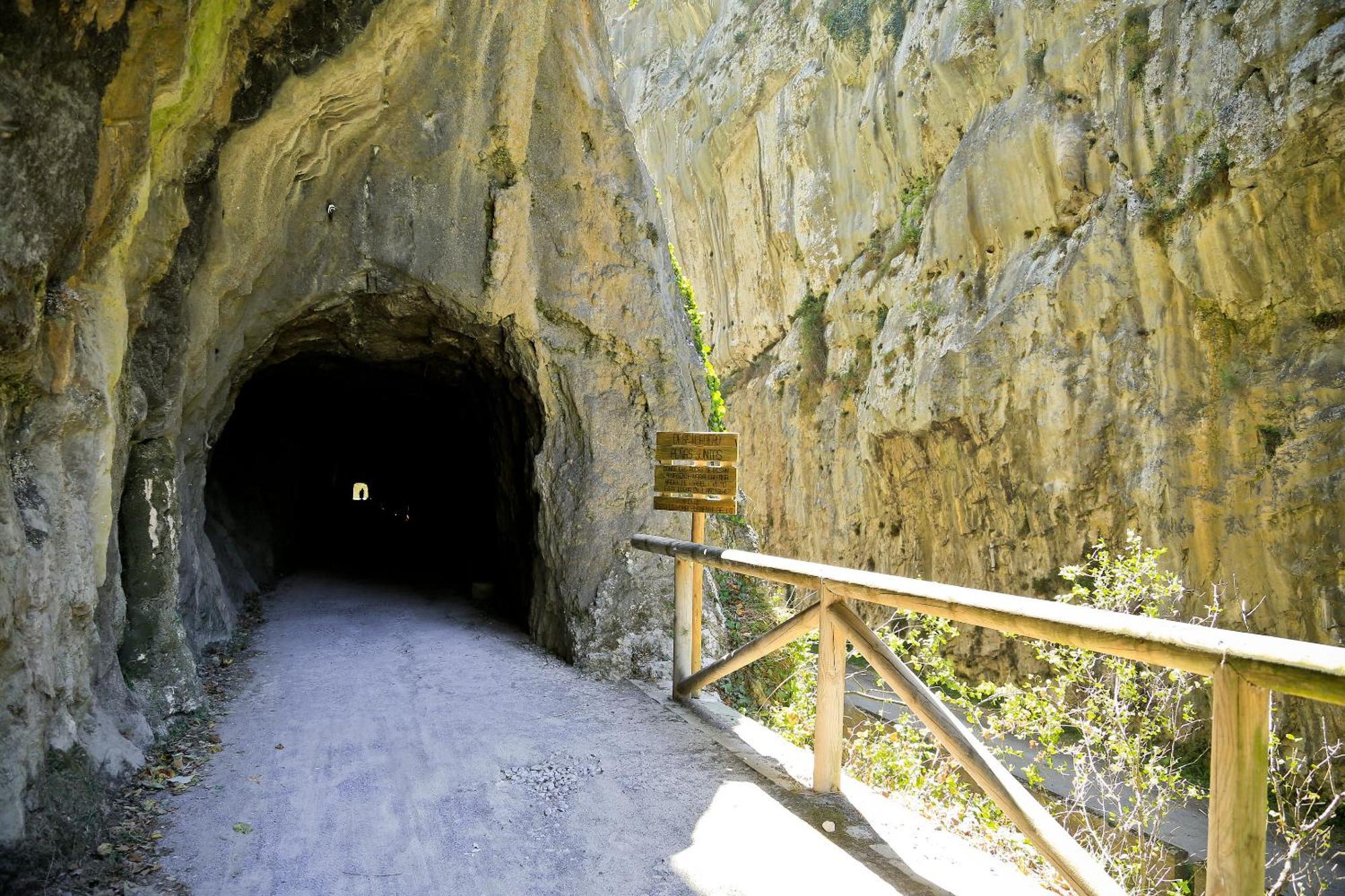 El Torreon - Las Casas Del Oso Proaza Dış mekan fotoğraf
